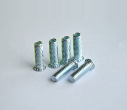 SuzhouFHSStainless steel riveting screw