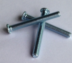 FH/FHS Riveting screw