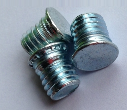柳州FHPressure riveting screw