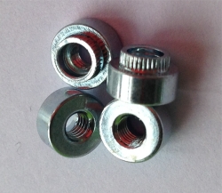 WuhanCold heading stainless steel rose riveting nut