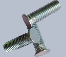 Stainless steel FHSPressure riveting screw
