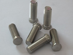 Stainless steel riveting screws