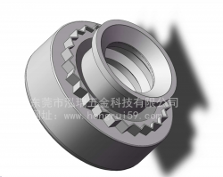 Dongguan cold heading self- clinching nuts manufacturer